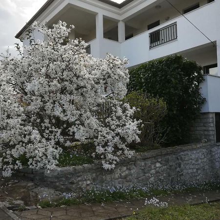 Stella Marina Leilighet Umag Eksteriør bilde
