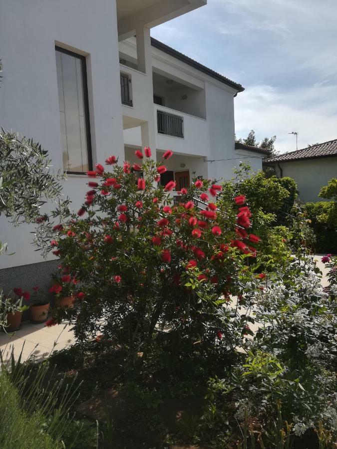 Stella Marina Leilighet Umag Eksteriør bilde